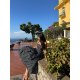 ROCHIE MIDI ATENA